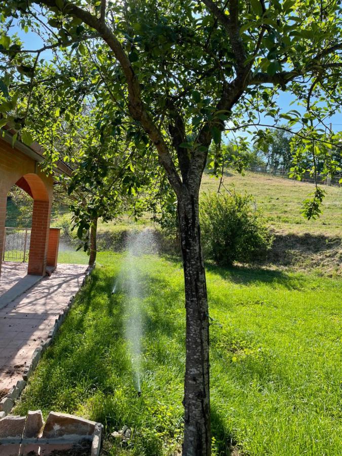 Luxury Villa Arianna Tarano Eksteriør billede