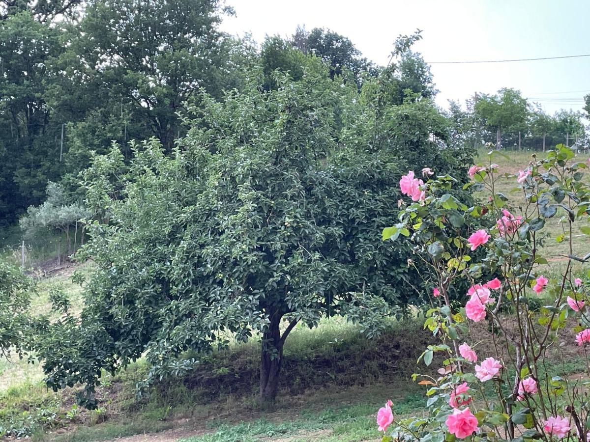 Luxury Villa Arianna Tarano Eksteriør billede